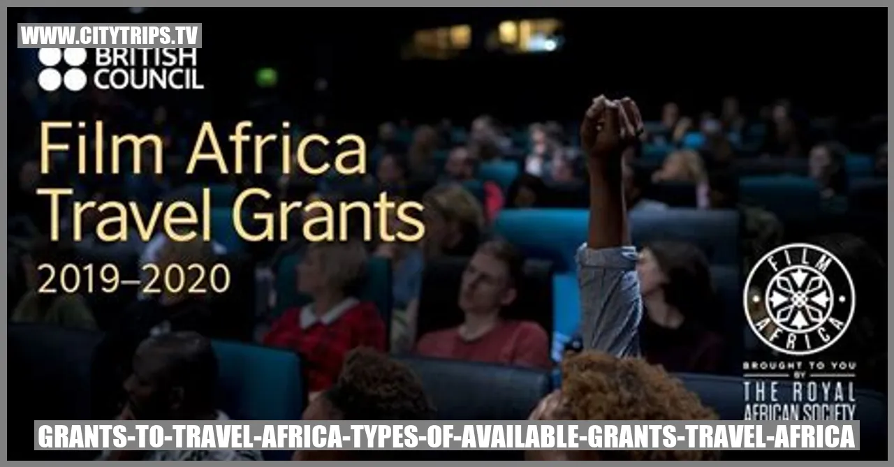 Grants to Travel to Africa: Types of Grants Available