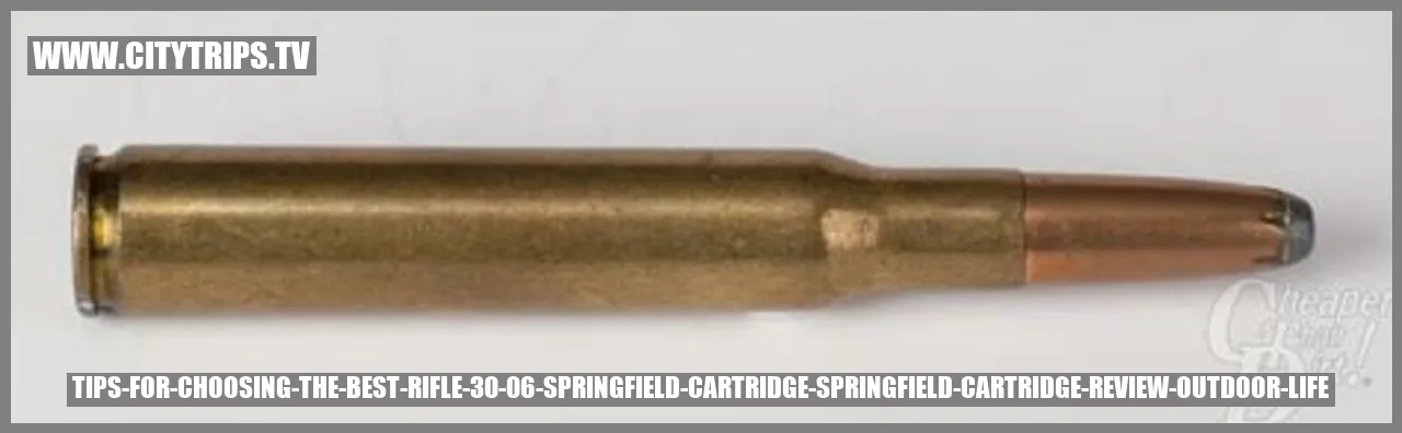Tips for Choosing the Best Rifle for the 30 06 Springfield Cartridge