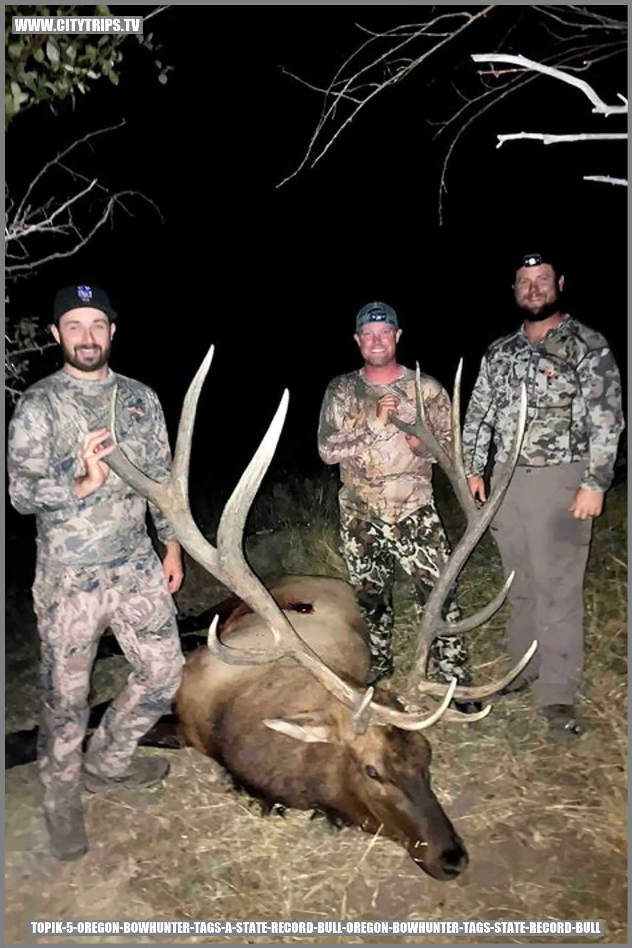 Oregon Bowhunter Tags a State Record Bull
