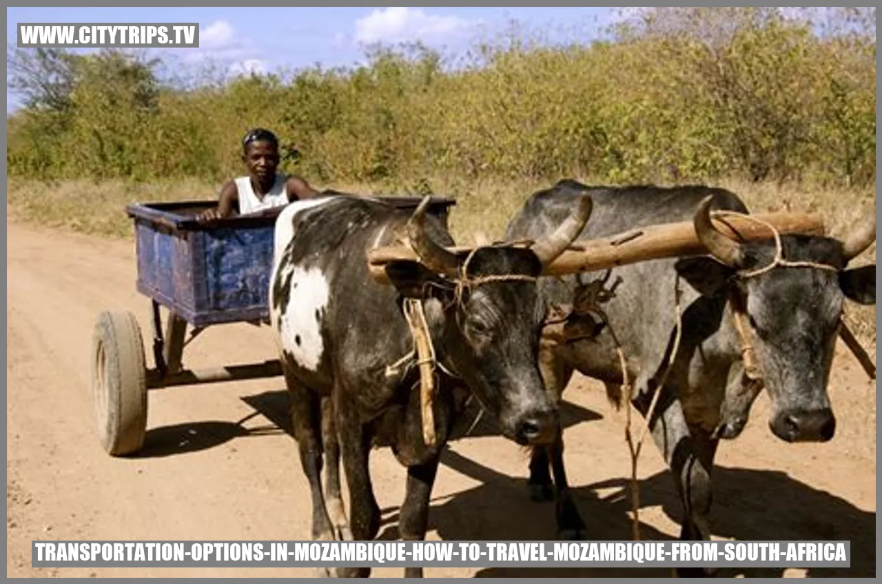 Transportation Options in Mozambique