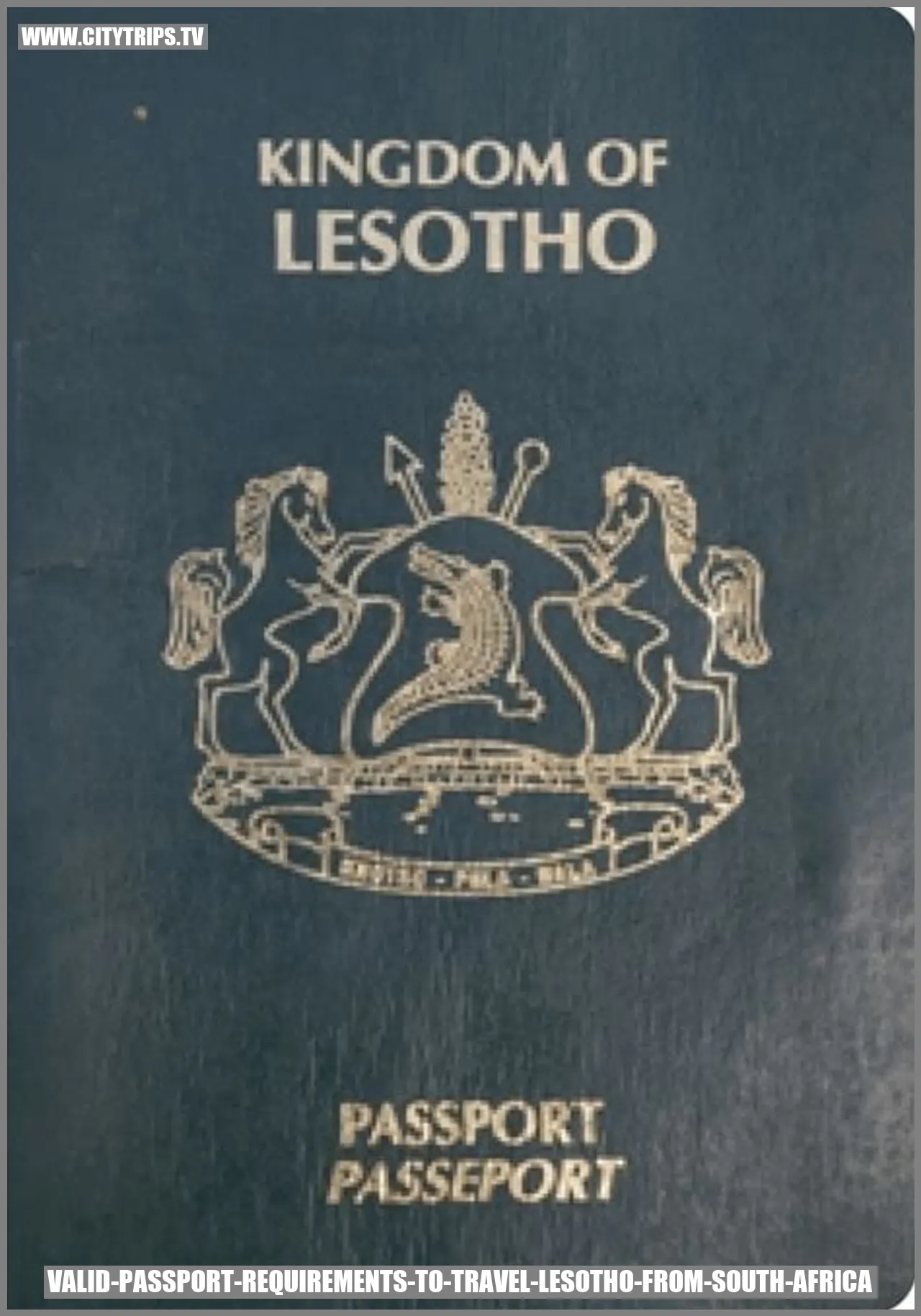 Valid Passport Requirements