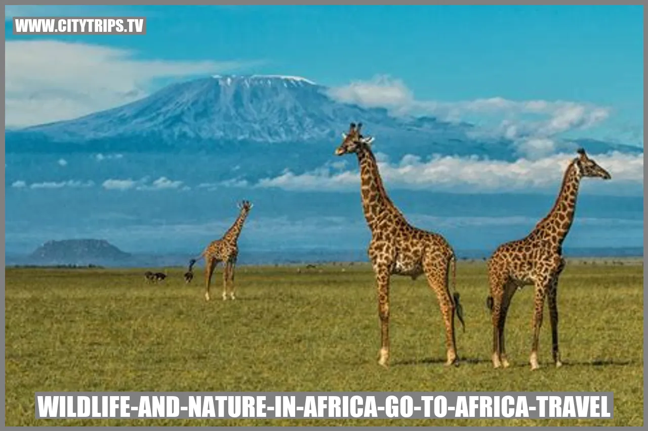 Explore the Wildlife and Nature of Africa