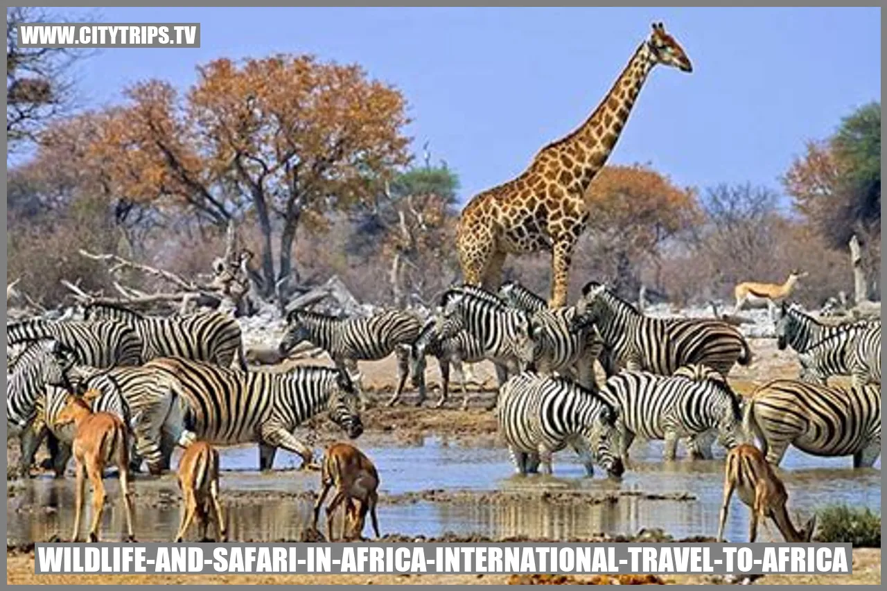 Wildlife and Safari in Africa